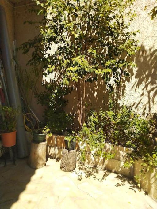 Studio Ideal Pour Deux Voyageurs Sur Marseilles Exterior foto